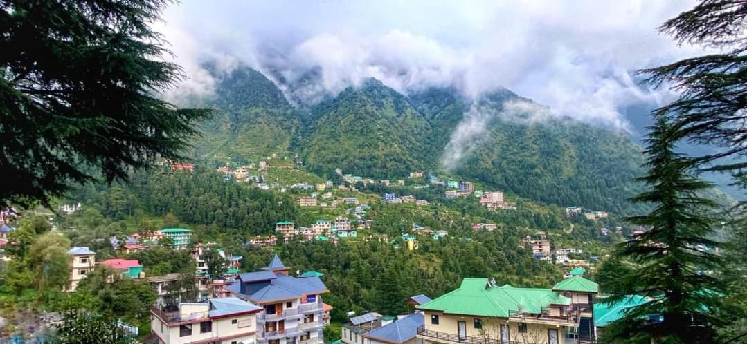 Oasis Guest House Bhagsu D'Shala Dharamshala Esterno foto