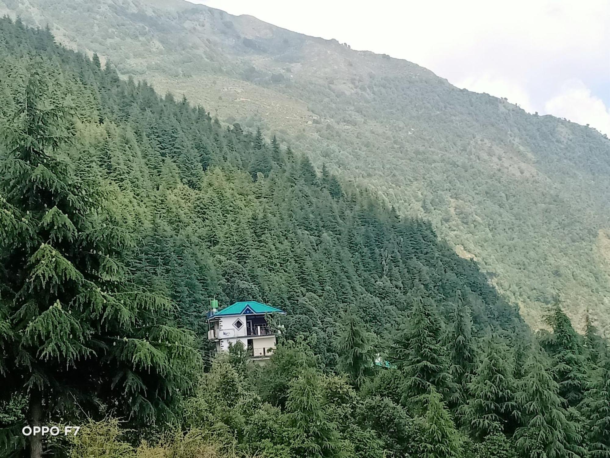 Oasis Guest House Bhagsu D'Shala Dharamshala Esterno foto
