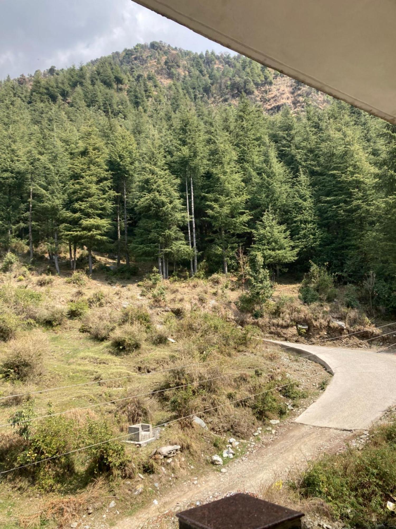 Oasis Guest House Bhagsu D'Shala Dharamshala Esterno foto